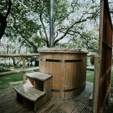 Oak Special Winter Offers - Hot Tub & Log Burner Lejlighed Barmouth Eksteriør billede
