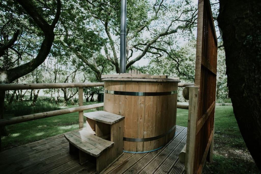 Oak Special Winter Offers - Hot Tub & Log Burner Lejlighed Barmouth Eksteriør billede